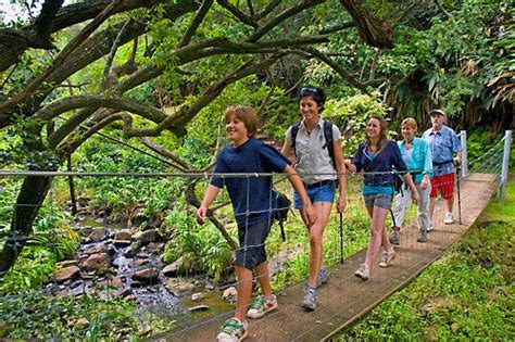 Kohala Waterfalls Adventure Hawaii Forest And Trail