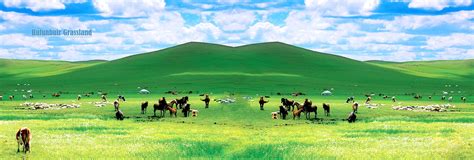 6 Days Inner Mongolia Best Desert And Grassland Tour