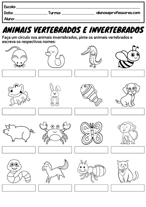 animais vertebrados e invertebrados exercicios atividades para imprimir sexiz pix