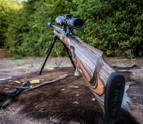 10 Best 22 Rifles Reviewed And Rated In 2021 Thegearhunt