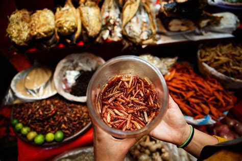 Ox Head Tacos And Cemita Sandwiches Are All Part Of The Mexico City