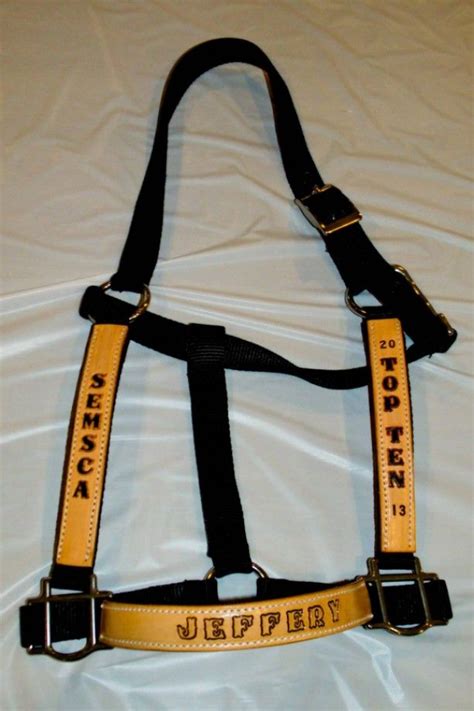 Custom Nylon Horse Halters With Personalized Leather Overlay Horse