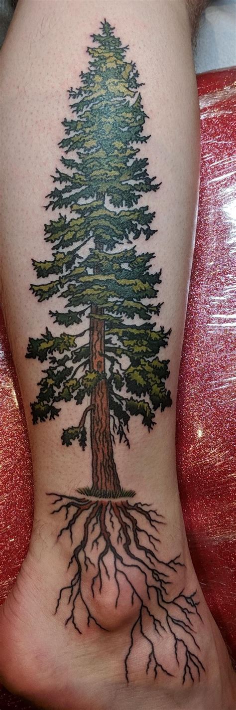 Douglas Fir Tree By Brynn Sladky Fortune Tattoo Portland Or