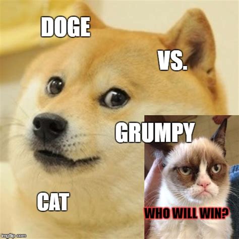 Doge V Grumpy Cat Not Batman V Superman Imgflip