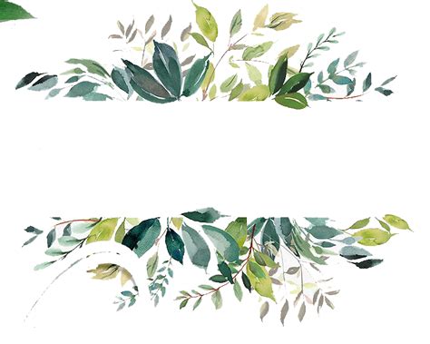 Ear clipart 20 free Cliparts | Download images on ... When done, click outside of the image to apply the changes, then save your image as a png file to preserve transparency.