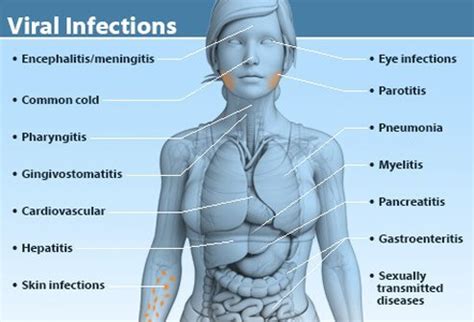 Fortunately, the body has a number of external and internal safeguards that prevent most dangerous invaders from entering and causing harm. Viral Infection Types, Treatment, and Prevention