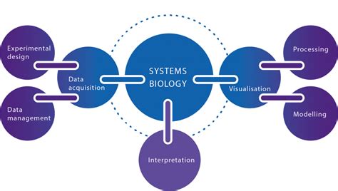 Systems Biology - RxCelerate