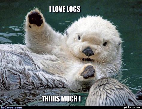 I Love Logs Thiiiis Much This One Site Picloco