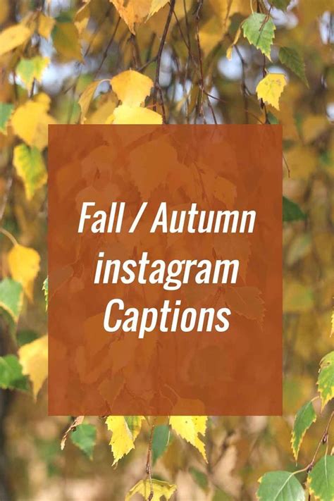 Best Fall Instagram Captions 2022 Simple Short Fun Cute And Funny