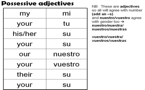 Possessive Adjectives My Your His Her Etc Year 7 Spanish