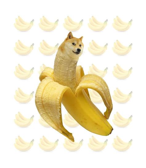 Original Banana Doge Shibe Meme Print 14 X 16 By Alliesurdovel 2200