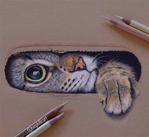 Pin By E On Drawing Prismacolor Art Cat Art Realistic Drawings