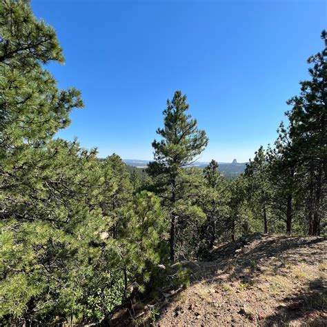 Storm Hill BLM Land Dispersed Site Camping | The Dyrt