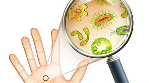 Facts About Germs 25 Fun Germs Facts That Will Wow You