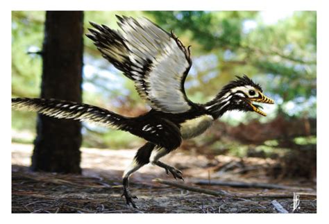 Facts About Archaeopteryx The Famous Dino Bird