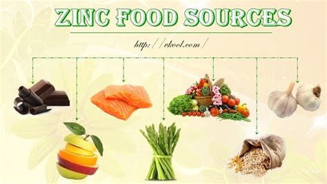 24 Best Zinc Food Sources Within Your Reach