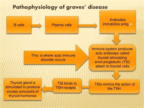 Pathophysiology Of Graves Disease Diagram Captions Omega