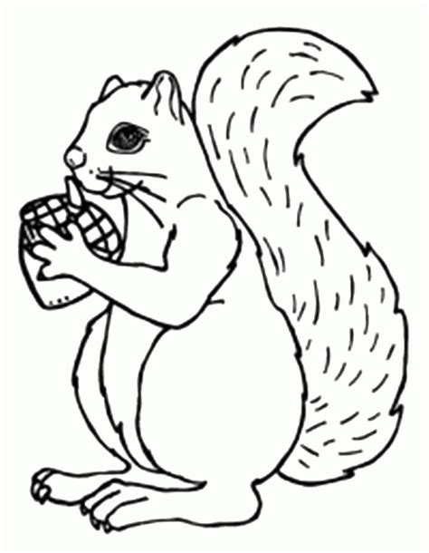 Squirrel-Love-Acorn-Coloring- - Coloring Home