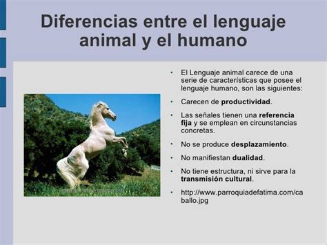 Diferencias Entre El Lenguaje Animal Y Humano Kulturaupice