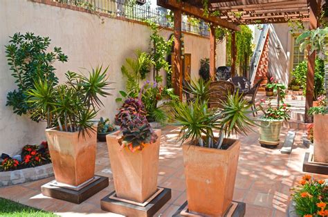 With white spray paint, give your pot a nice clean coat of paint. Impressive Plant Pots look Los Angeles Mediterranean Patio ...