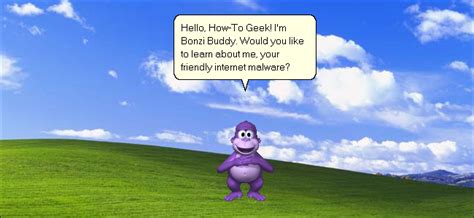 In 1999, the software used a green parrot called peedy licensed from microsoft, and in later versions, a purple gorilla named bonzi. A Brief History of BonziBuddy, the Internet's Most ...