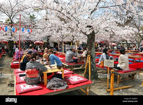 Kyoto Japan 1st April 2013 Japanese People Picnic Under The Cherry