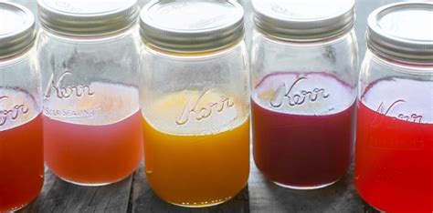 Easy Homemade Fruit Liqueur From Any Fruit