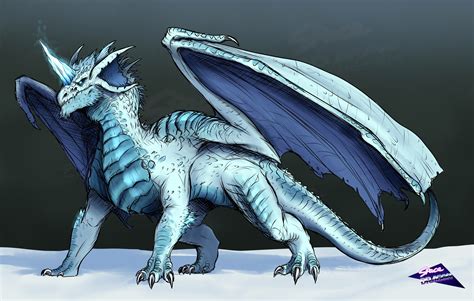 Blue And White Dragon Hybrid By Spacedragon14 On Newgrounds