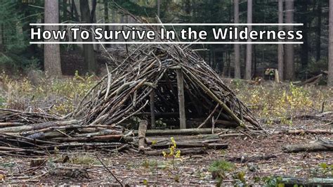 How To Survive In The Wilderness 8 Important Steps