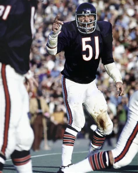 Dick Butkus All Time Great Bears Legend In This Classic Color 8x10 4