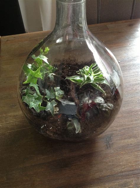 Befüllen sie jetzt den flaschenboden etwa bis zur hälfte mit wasser. Mini Biosphäre - Garten in der Flasche - Dennis ...