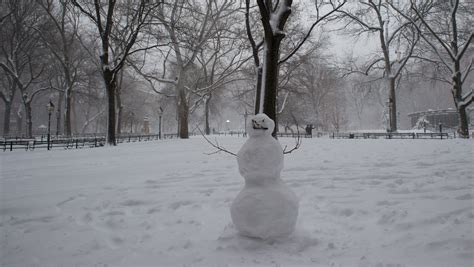 Maryland Snow Totals for Winter Storm Stella | Heavy.com