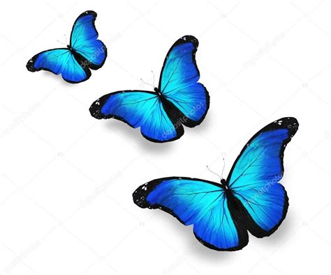 Lista Imagen Imagenes De Mariposas Azules Para Imprimir Cena Hermosa