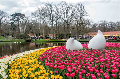 How To Go To Keukenhof Gardens From Amsterdam Fasci Garden