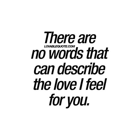 There Are No Words That Can Describe The Love I Feel For You Quotes