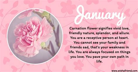 January Birth Flower The Beautiful Carnation