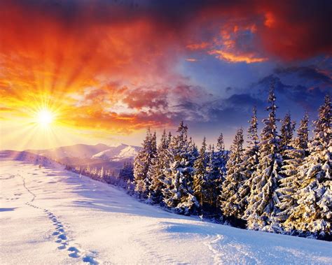 Sunny Winter Day Wallpaper Wallpapersafari