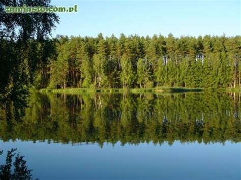 Powierzchnia jeziora wynosi 1 363,8 ha. Bory Tucholskie - Noclegi Wycieczki