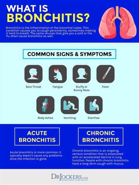 Bronchitis Causes Symptoms And Support Strategies