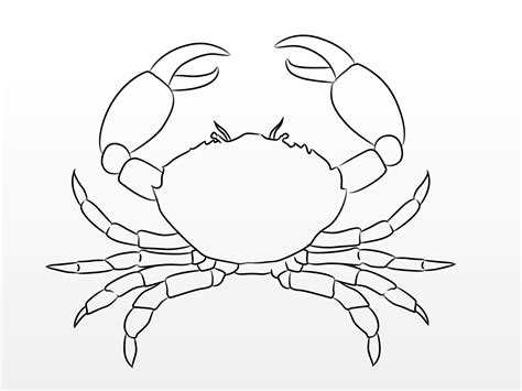Guidelines for the crab or cancer symbol is simple. Draw a Crab | Drawings