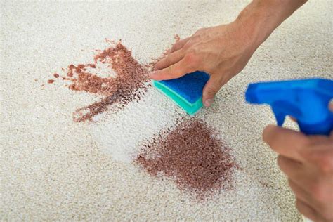 5 Best Carpet Stain Remover Options For Any Spill Bob Vila
