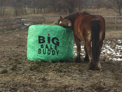 Extra Large Big Bale Buddy Extra Large Round Bale Hay Feeder 1 Year
