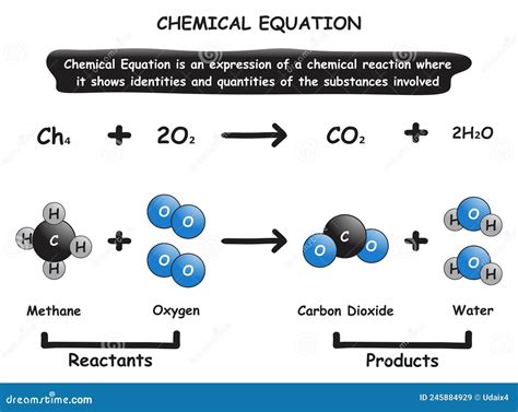 Diagrama De Infografía De Ecuaciones Químicas Ilustración Del Vector
