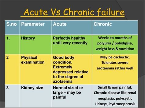 Management Of Renal Disease In Dog