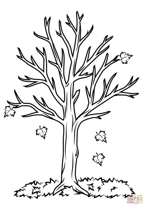 Fall Tree Coloring Page Free Printable Coloring Pages
