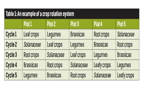 Understanding Crop Rotation