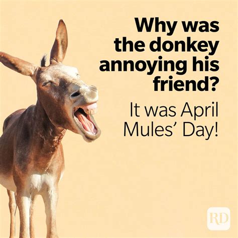 25 Funniest April Fools Day Jokes Readers Digest