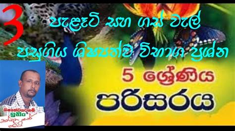 පැළෑටි හා ගස් වැල් පසුගිය ශිෂ්‍යත්ව විභාග ප්‍රශ්න Youtube