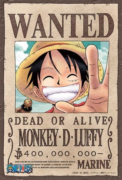 One Piece Wanted Poster Luffy