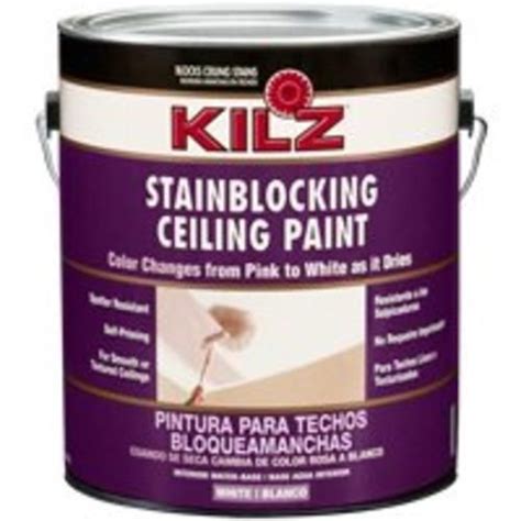 Kilz 68041 Stain Blocking Color Change Ceiling Paint 1 Gallon